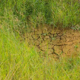The Unseen Attack of Drought