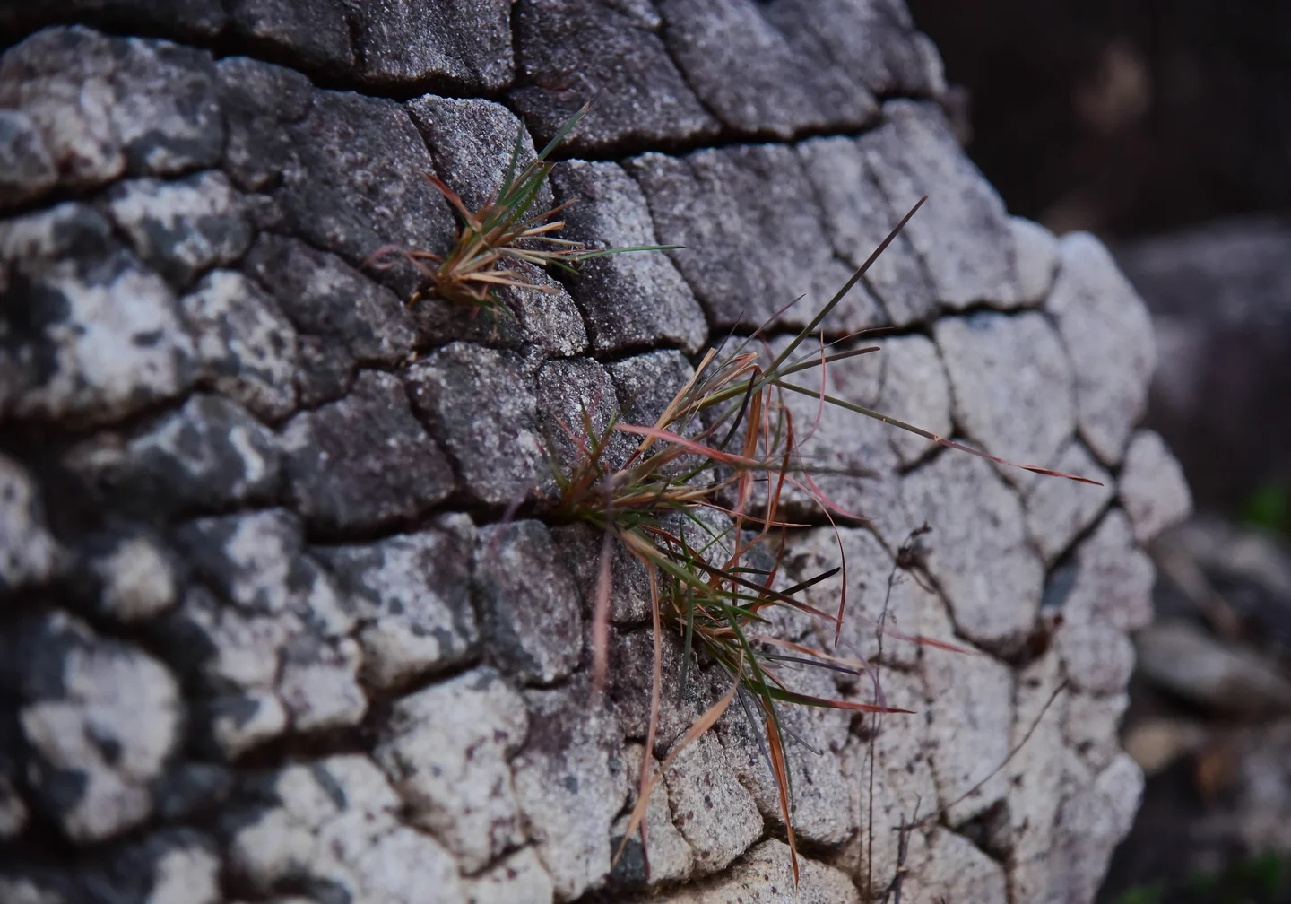 Weathering of Rock - Soil Formation