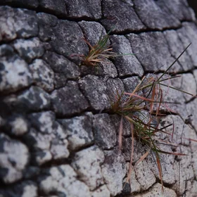 Weathering of Rock - Soil Formation