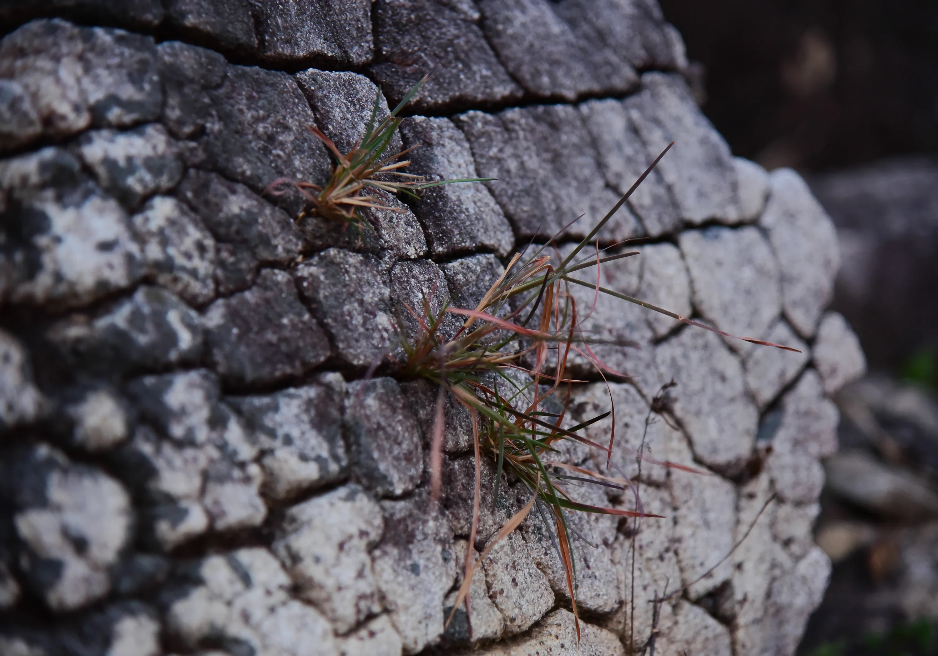 Weathering of Rock - Soil Formation