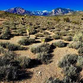 Boundary of the Carpenter One Fire