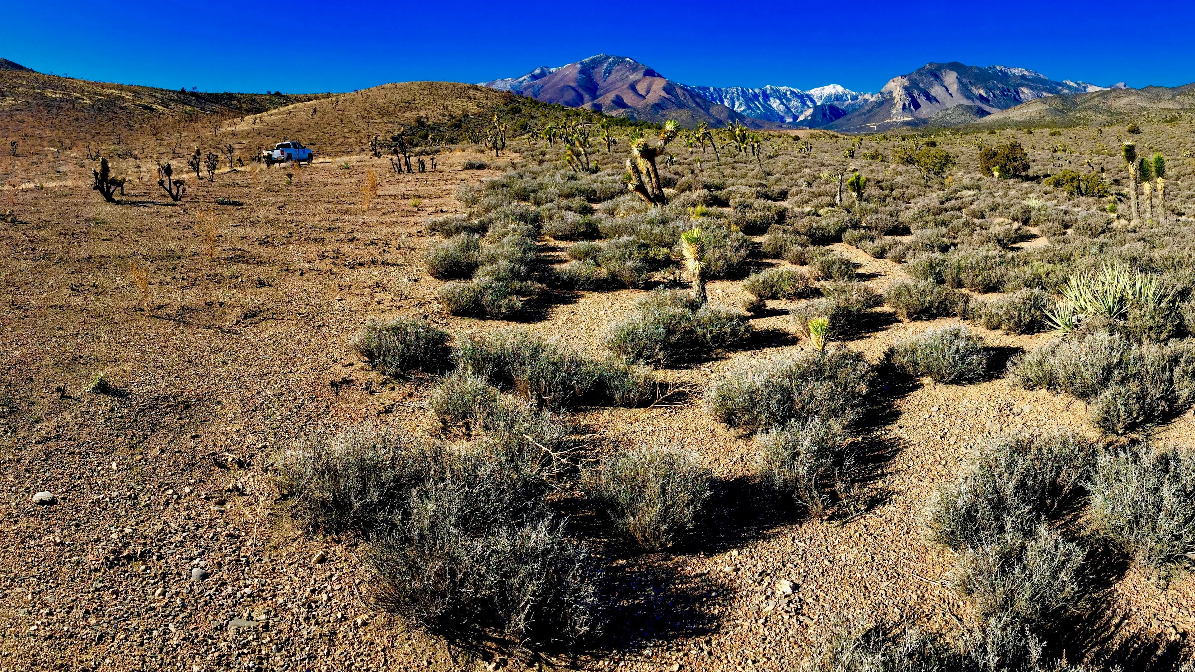 Boundary of the Carpenter One Fire