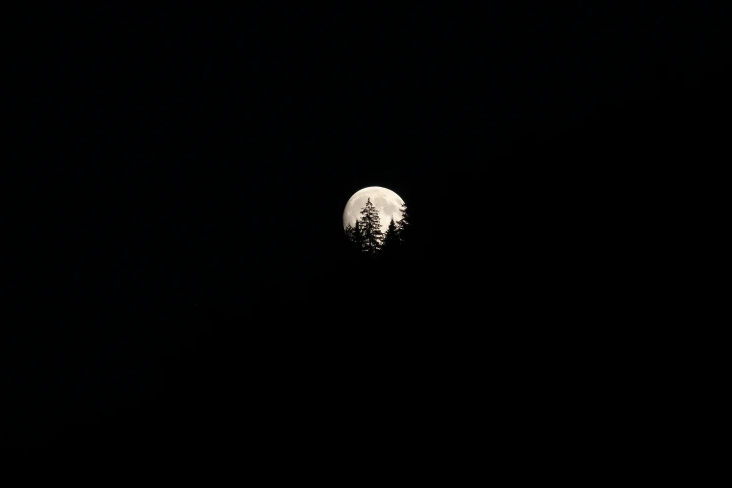 The discovery of a new moonlight