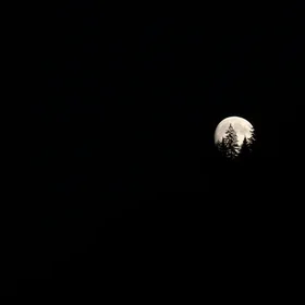 The discovery of a new moonlight