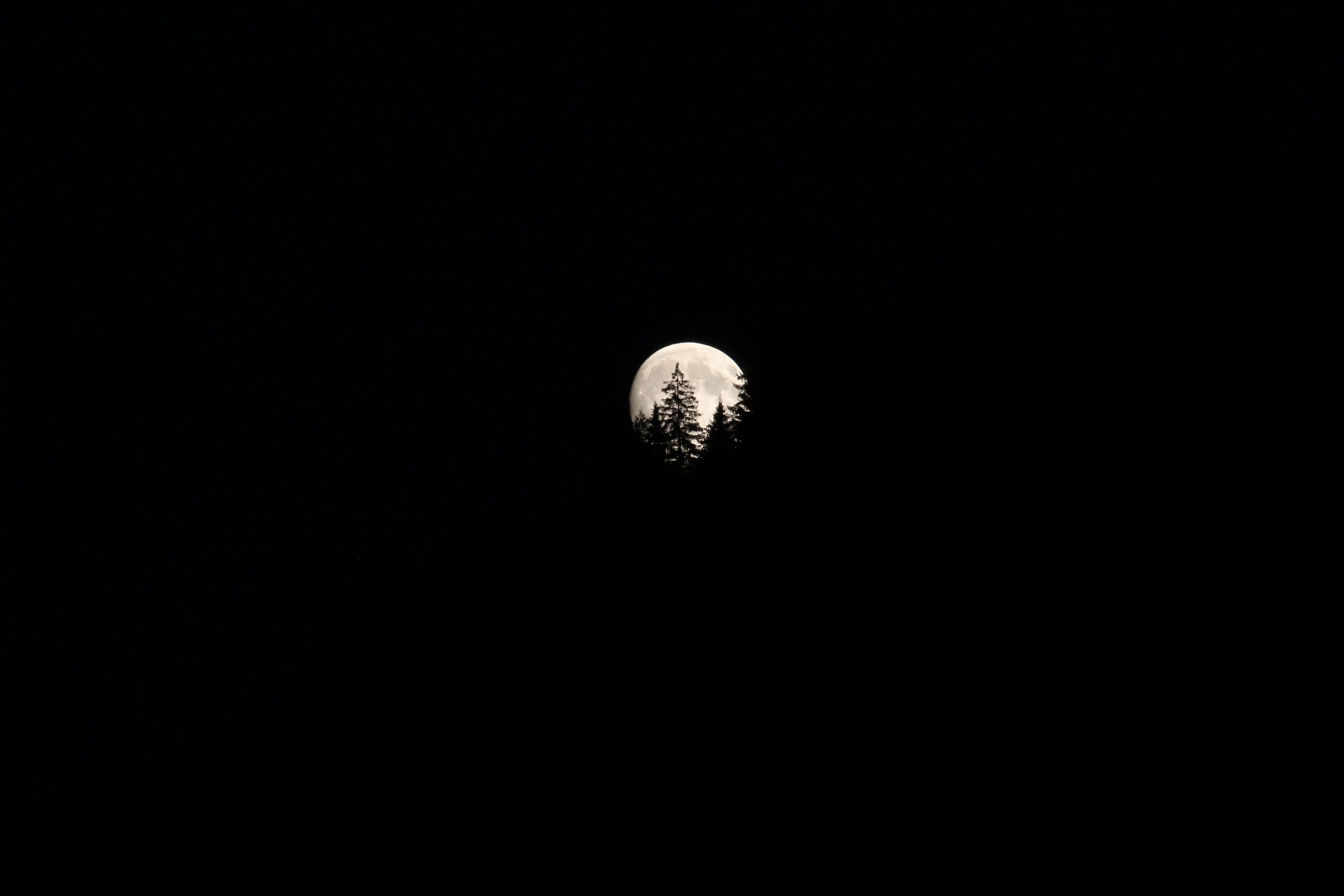 The discovery of a new moonlight
