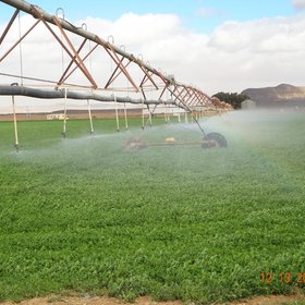 Center Pivot Irrigation in Tabuk, Kingdom of Saudi Arabia
