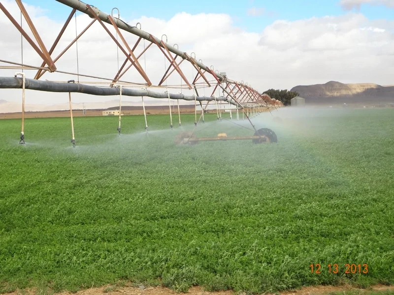 Center Pivot Irrigation in Tabuk, Kingdom of Saudi Arabia