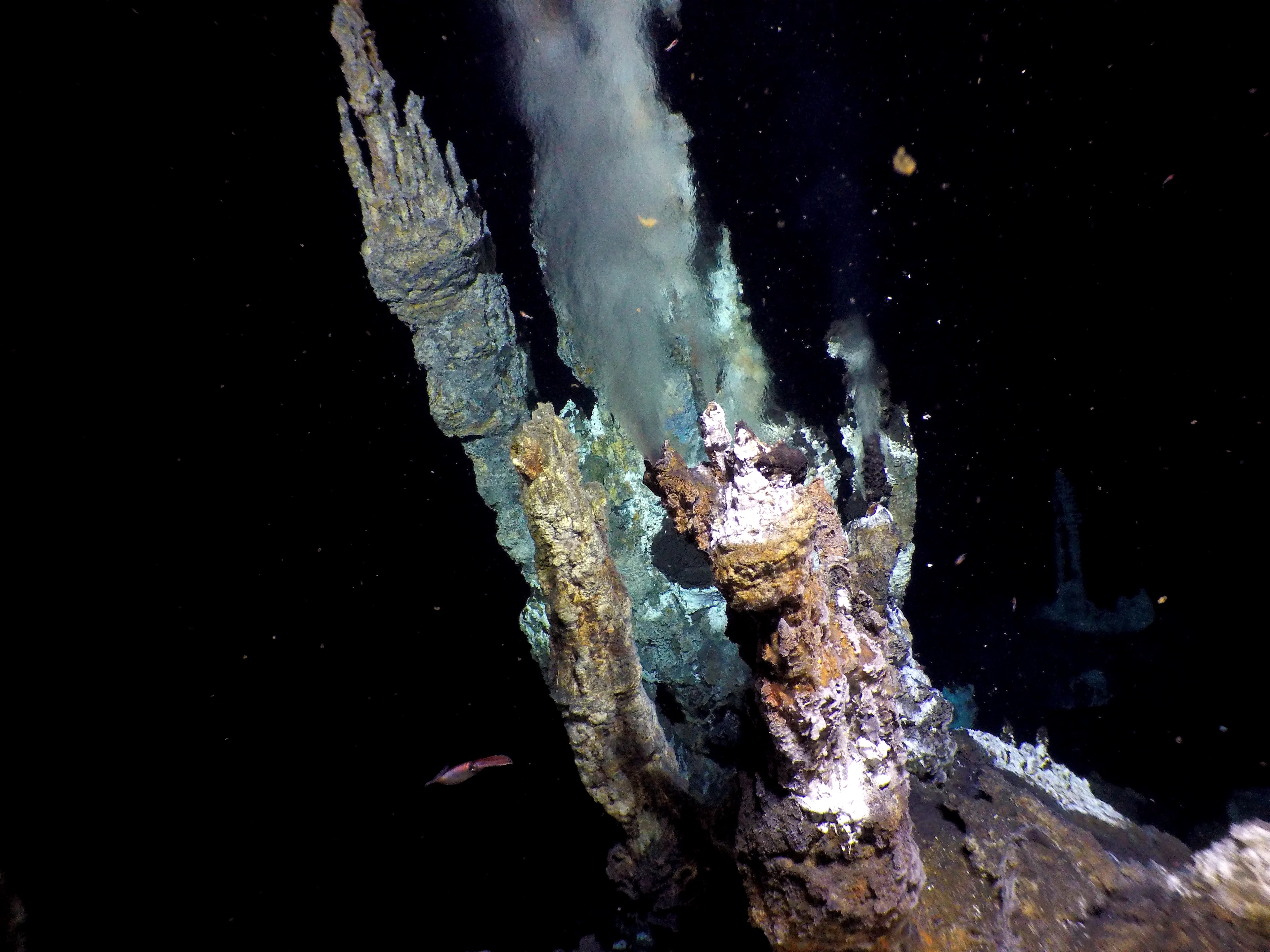 Under the sea, in the deep, where fire meets water and life emerges II