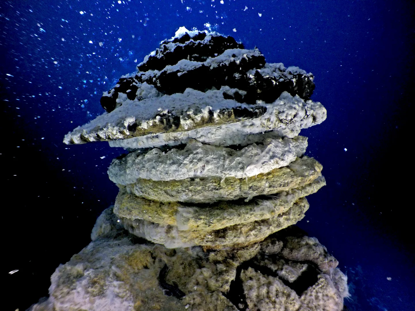 Under the sea, in the deep, where fire meets water and life emerges III