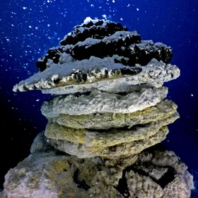 Under the sea, in the deep, where fire meets water and life emerges III
