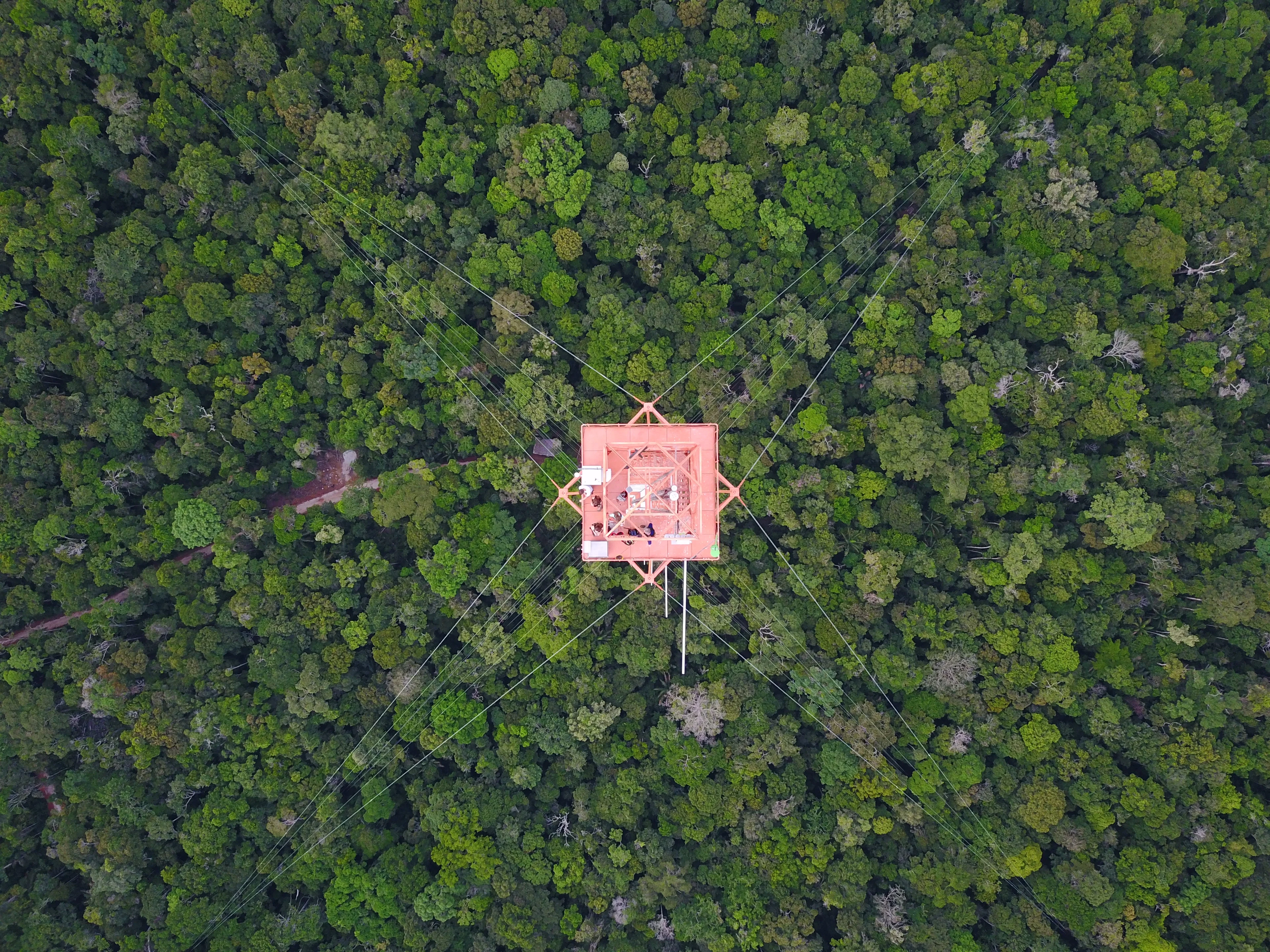 Science above the Amazon rainforest