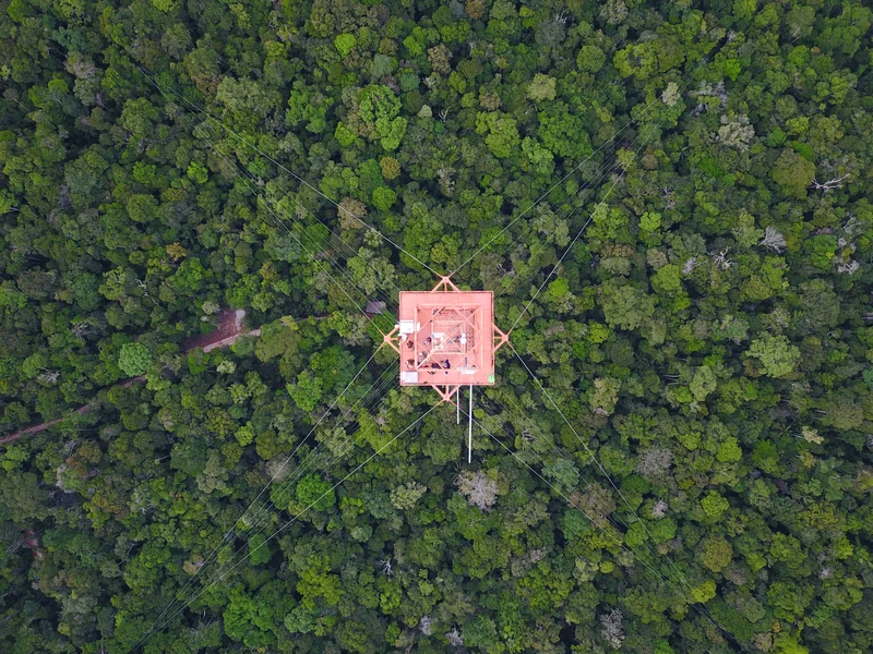 Science above the Amazon rainforest