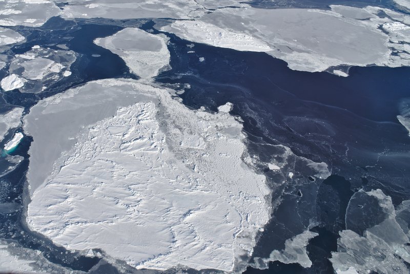 Ice floes in the Weddell Sea