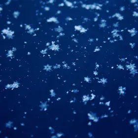 Minus Thirty-Five Degrees