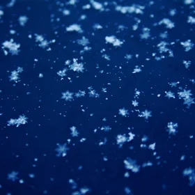 Minus Thirty-Five Degrees