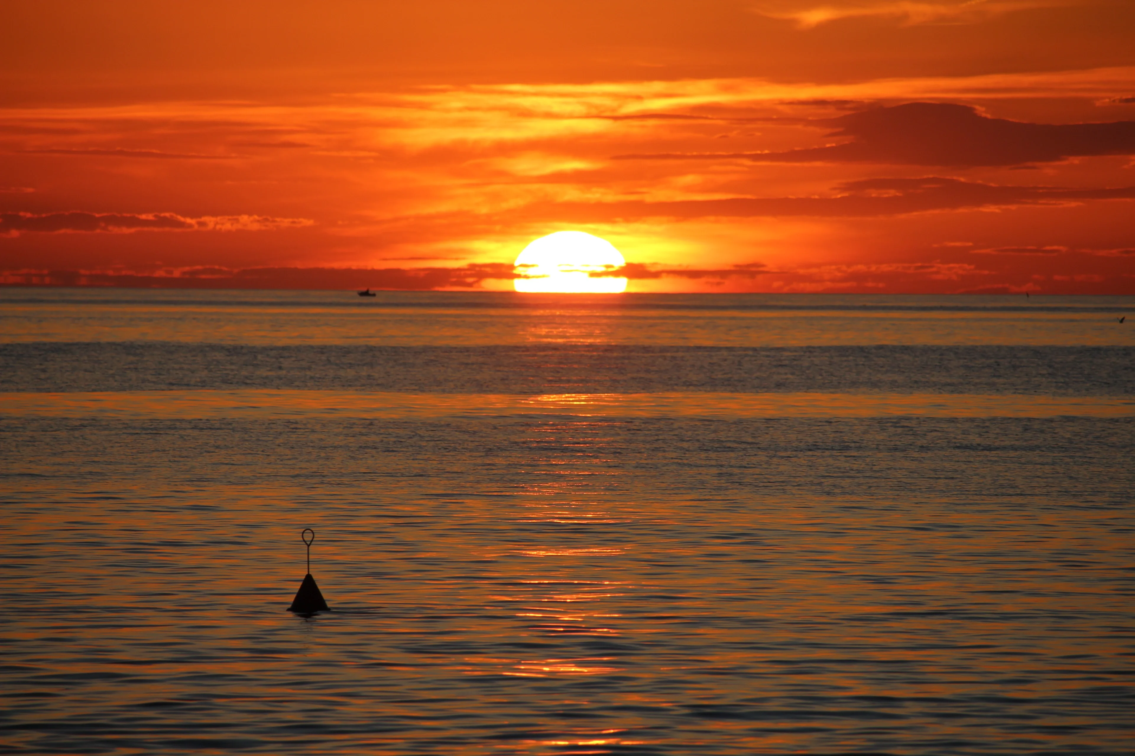 The circle of life - sunset in the Adriatic Sea