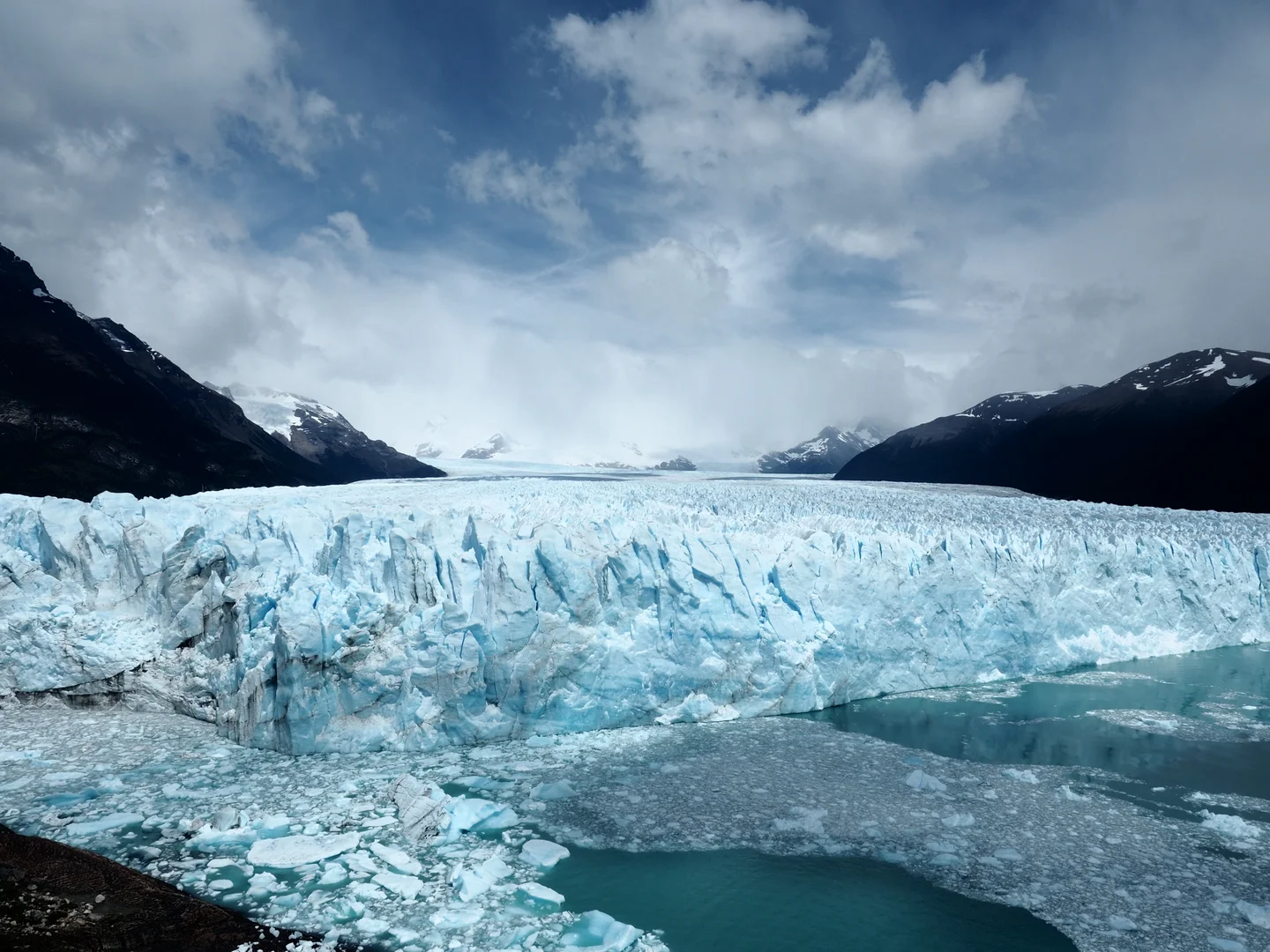 A Living Being Surviving the Climate Change