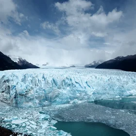 A Living Being Surviving the Climate Change