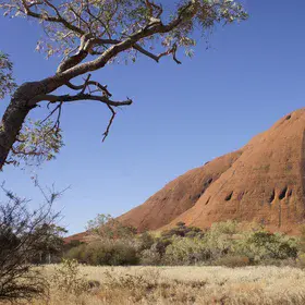 Outback landscape - Kata Tjuta