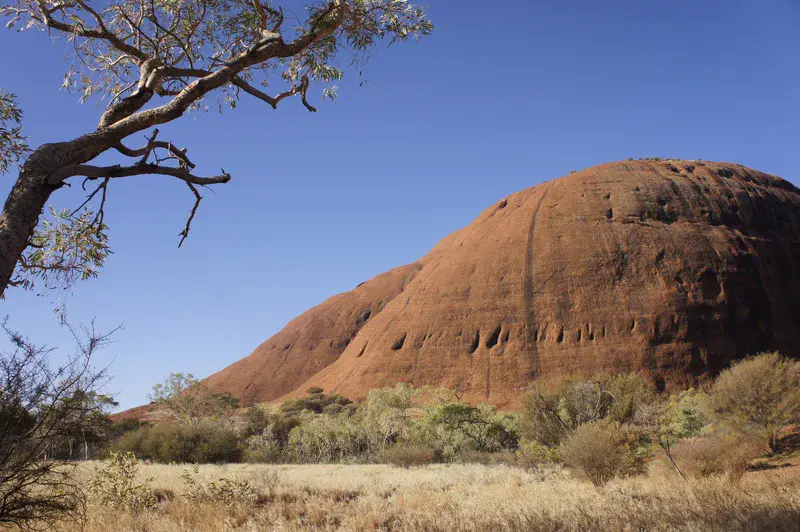 Outback landscape - Kata Tjuta