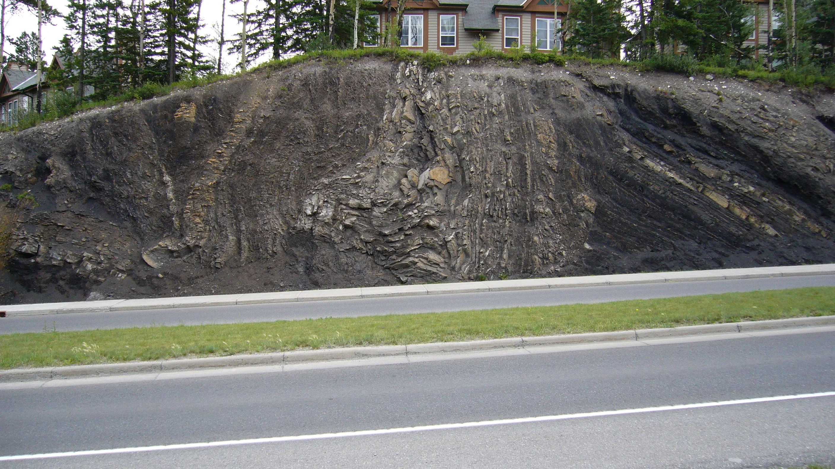 Fold & Thrusted Kootney Formation, Canmore, Alberta