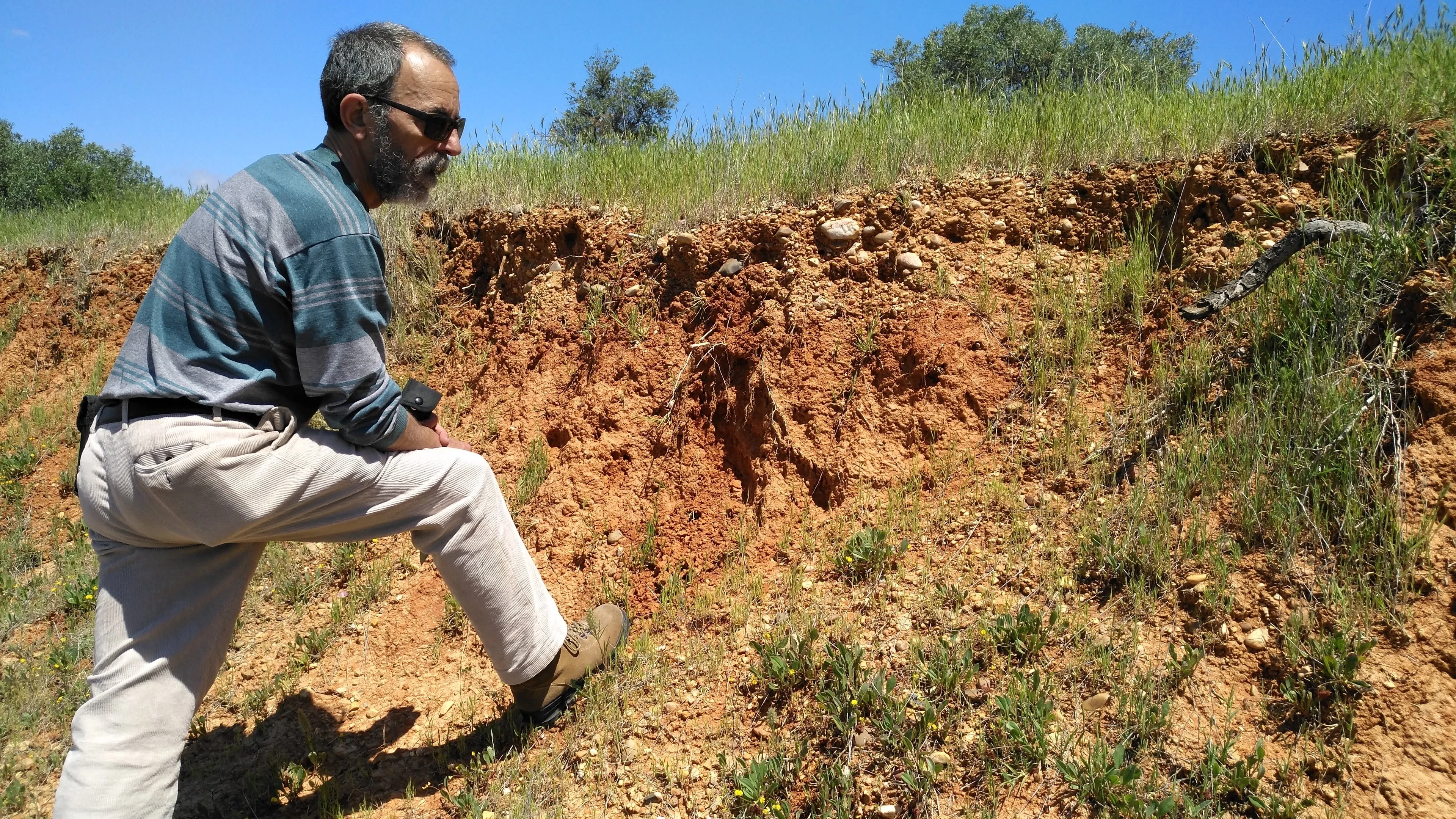 Soil scientists in action: Arturo (Univ. of Seville) describing a Regosol
