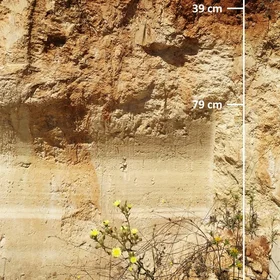 Calcic Luvisol (Sevilla, SW Spain)