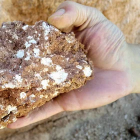 Calcium carbonate concretions in a soil aggregate