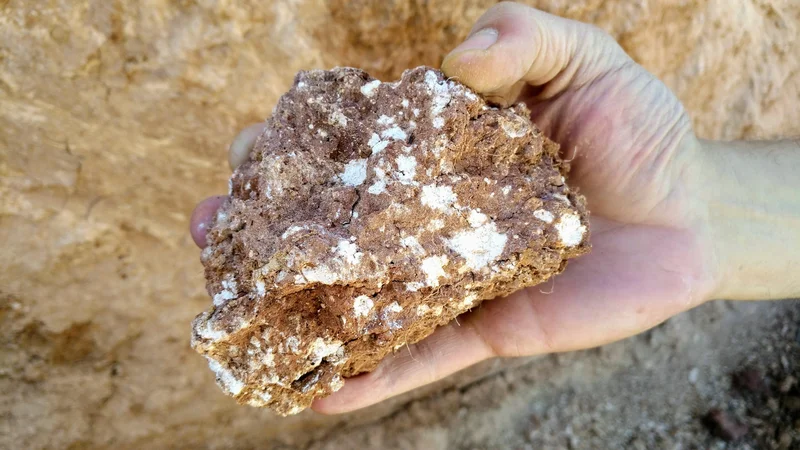 Calcium carbonate concretions in a soil aggregate