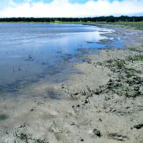 Santa Olalla lagoon (Doñana National Park, southwestern Spain)
