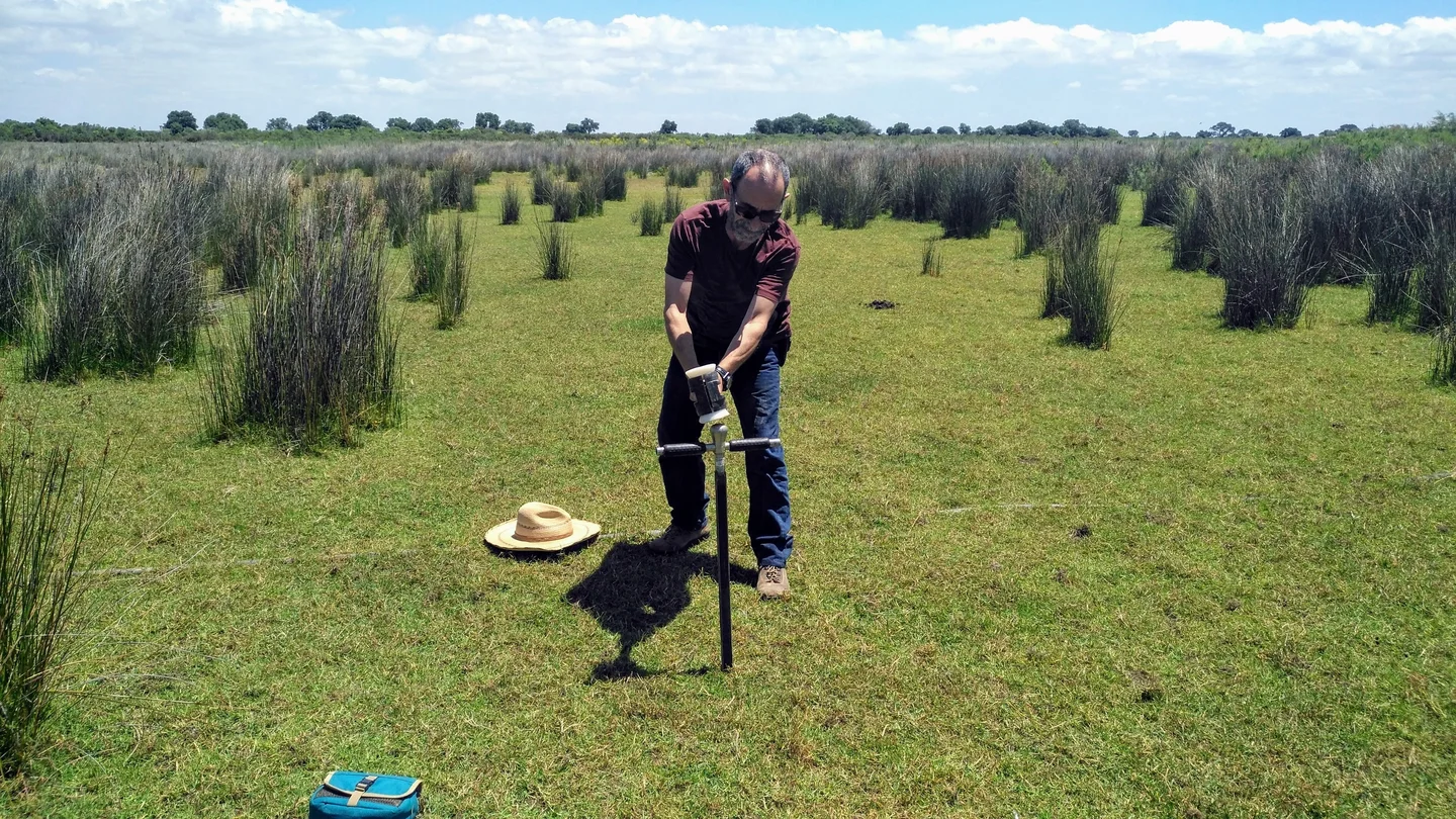 Soil scientists in action: Arturo playing with an auger