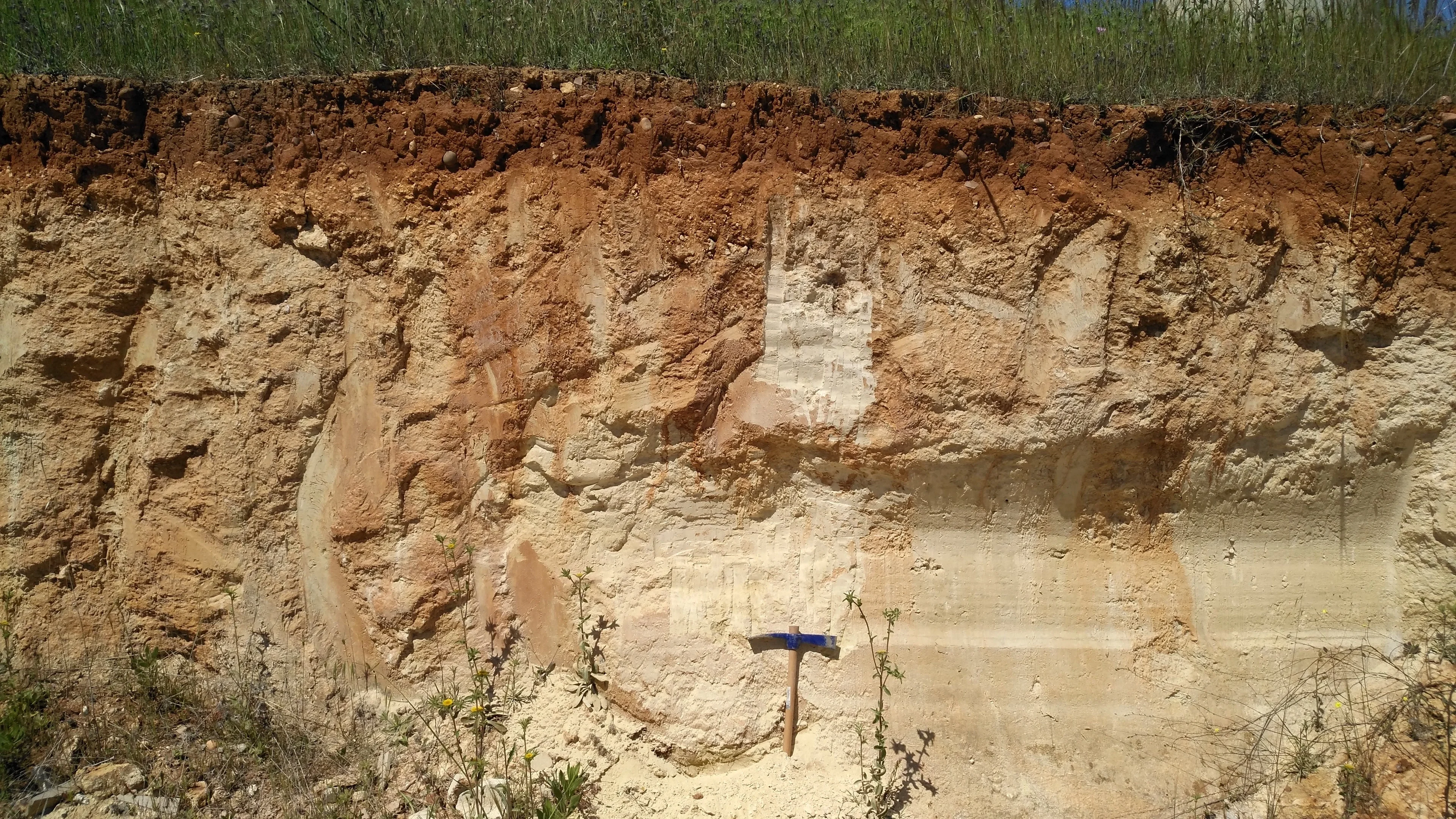 Calcic Luvisol (Sevilla, SW Spain)