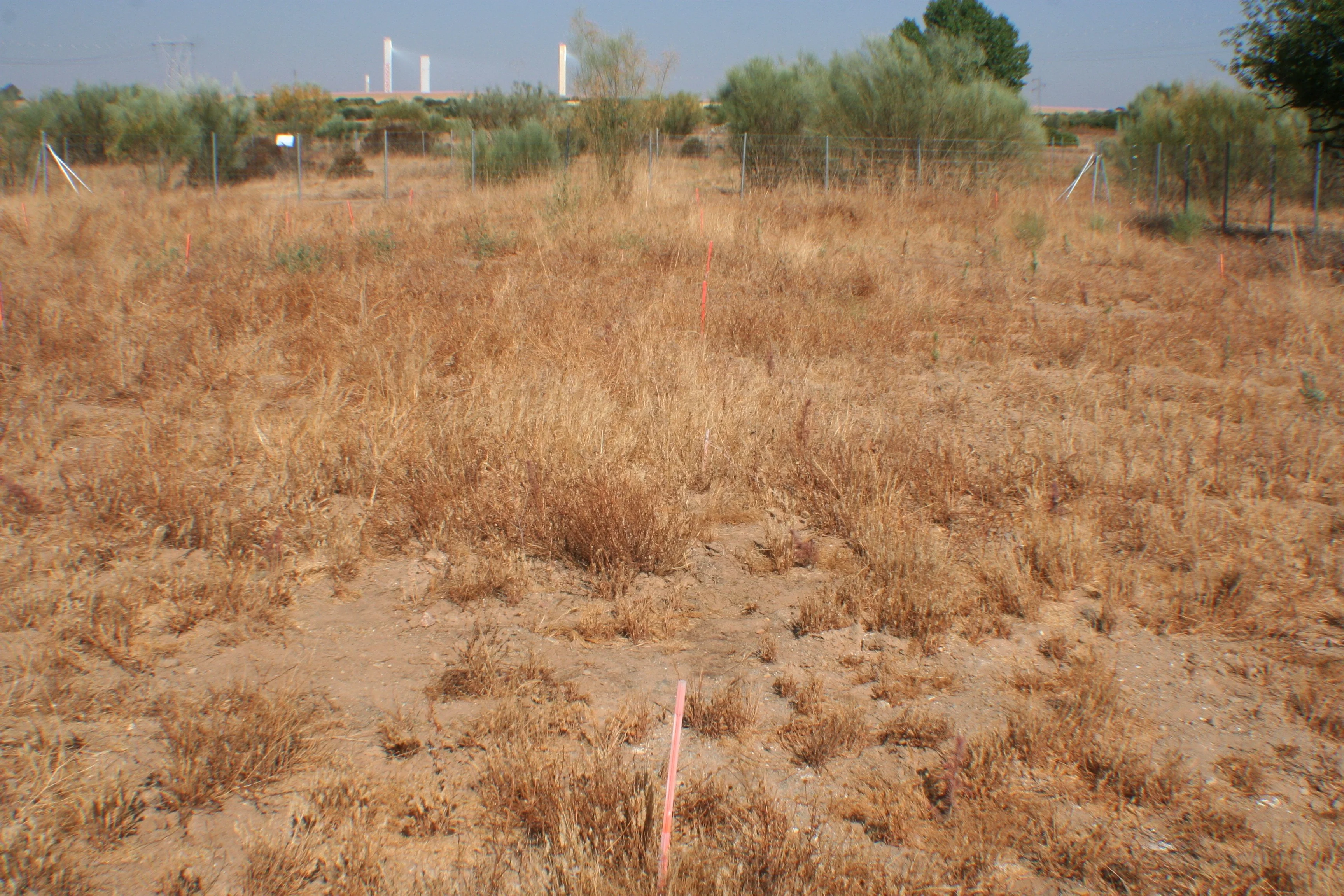 20 years after the Aznalcóllar disaster