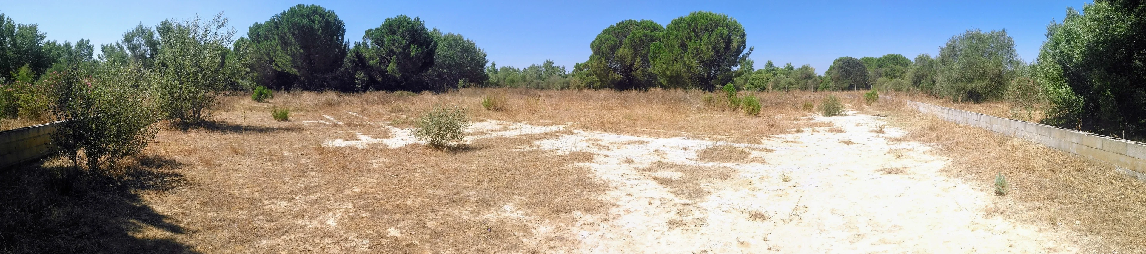 Experimental plot preserving unaltered toxic sludge in the proximity of the Doñana National Park