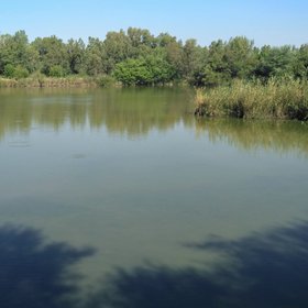 Artificial lagoon on an old restored quarry in the Green Corridor of Guadiamar, near the Doñana National Park