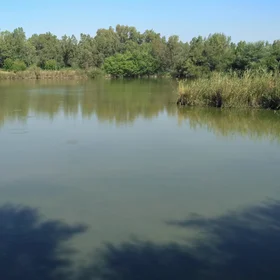 Artificial lagoon on an old restored quarry in the Green Corridor of Guadiamar, near the Doñana National Park