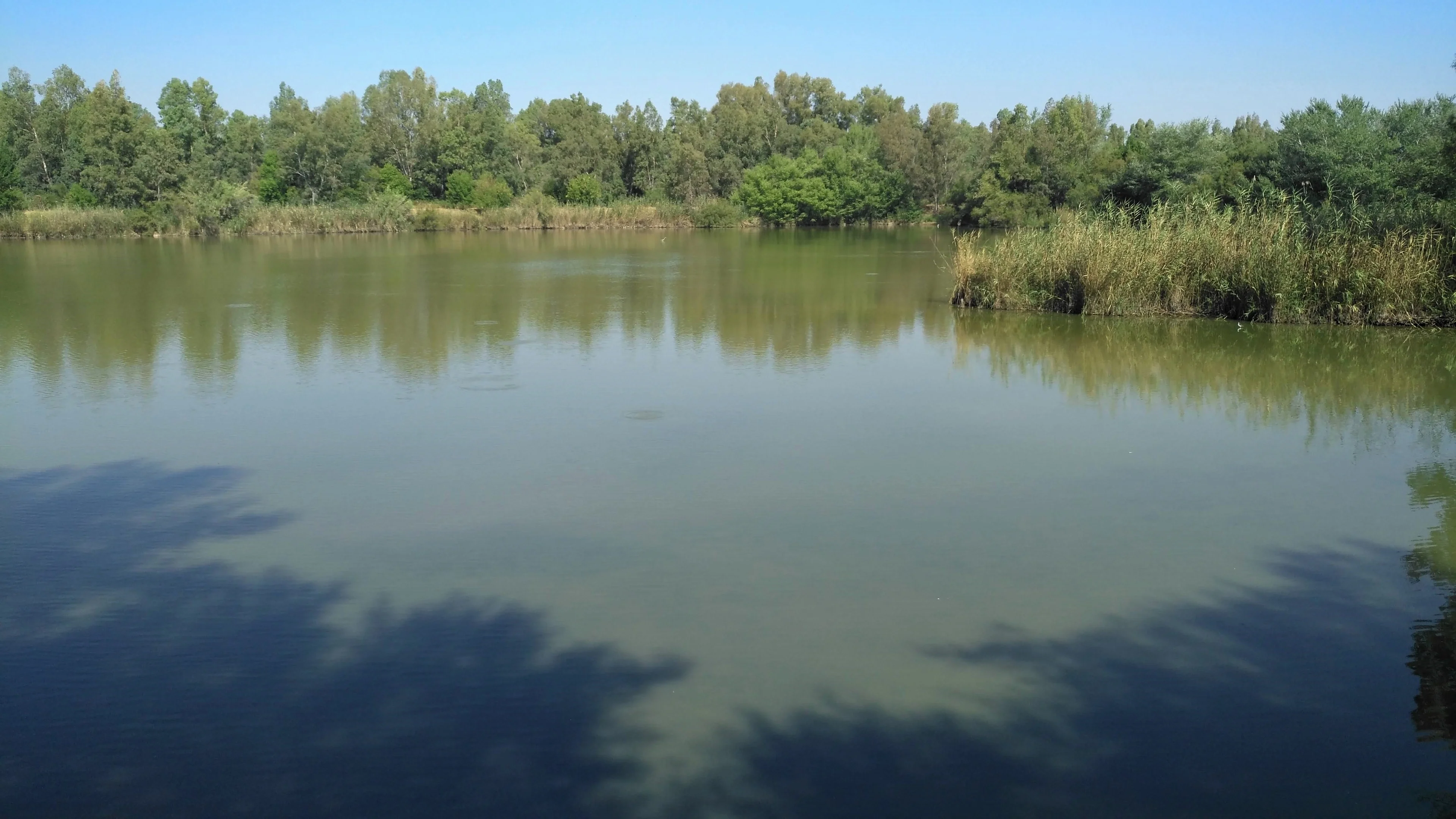 Artificial lagoon on an old restored quarry in the Green Corridor of Guadiamar, near the Doñana National Park