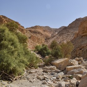 Wadi Channel in the Moab Mountains, Ghor Al-Haditha