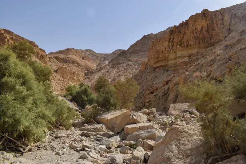 Wadi Channel in the Moab Mountains, Ghor Al-Haditha