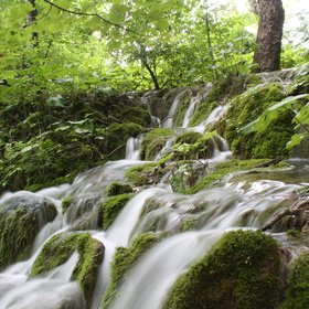 Tiny rapids in Plitvice Lakes National Park