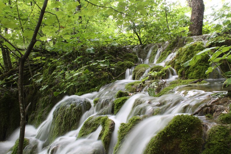 Tiny rapids in Plitvice Lakes National Park