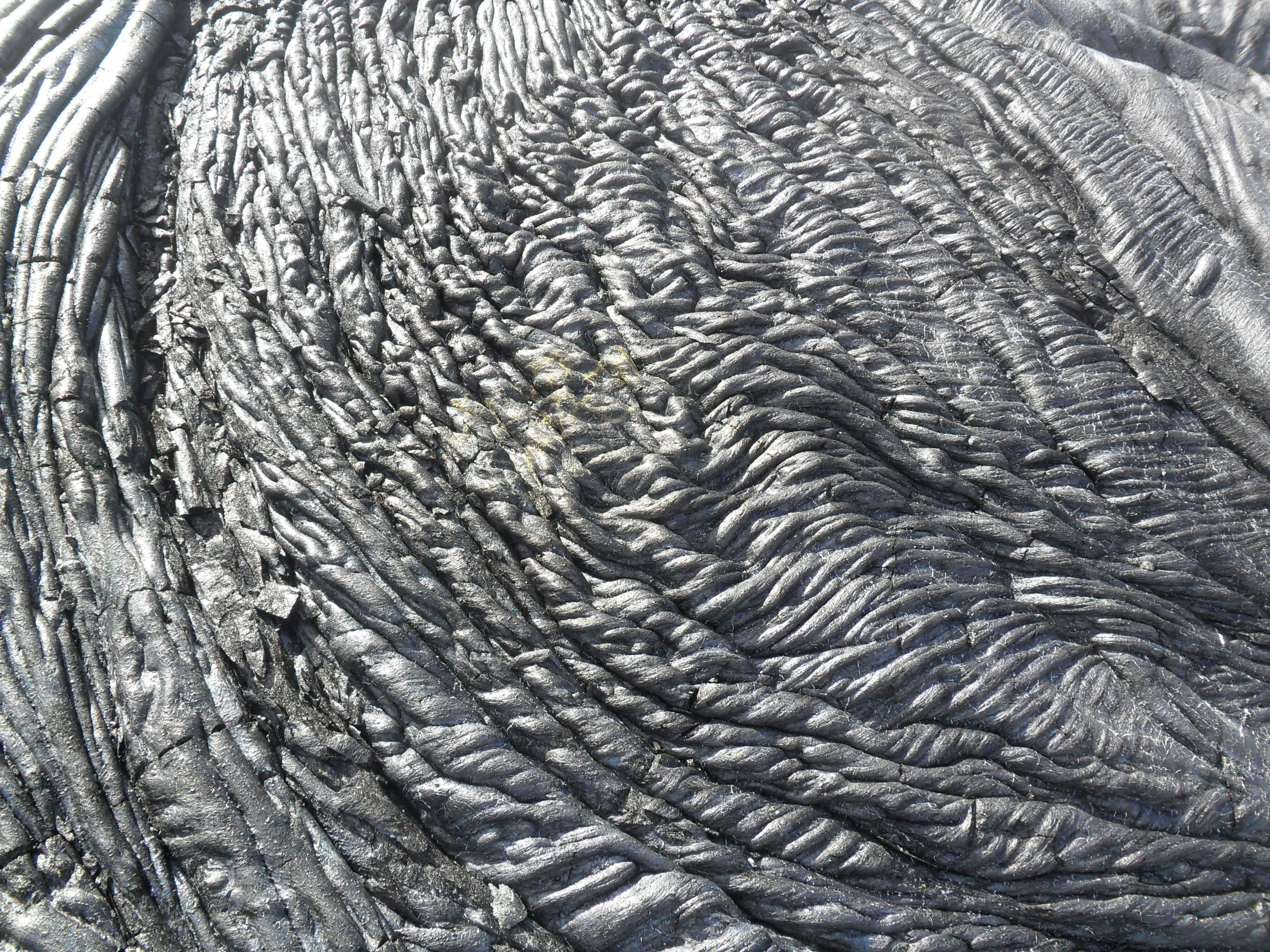 Ropy pāhoehoe lava at Kīlauea east rift zone, Hawai'i