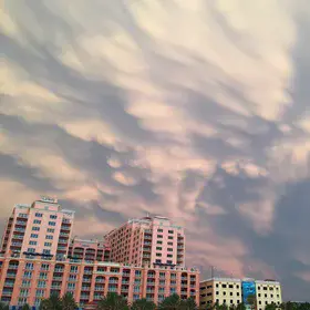 Mammatus clouds near sunset