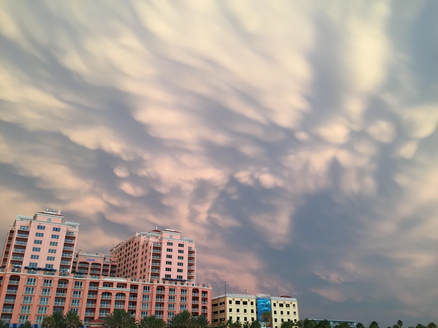 Mammatus clouds near sunset