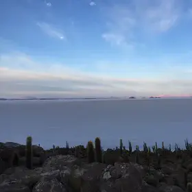 Cactus and salt flats in Uyuni