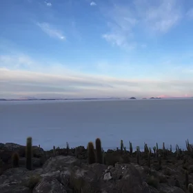 Cactus and salt flats in Uyuni