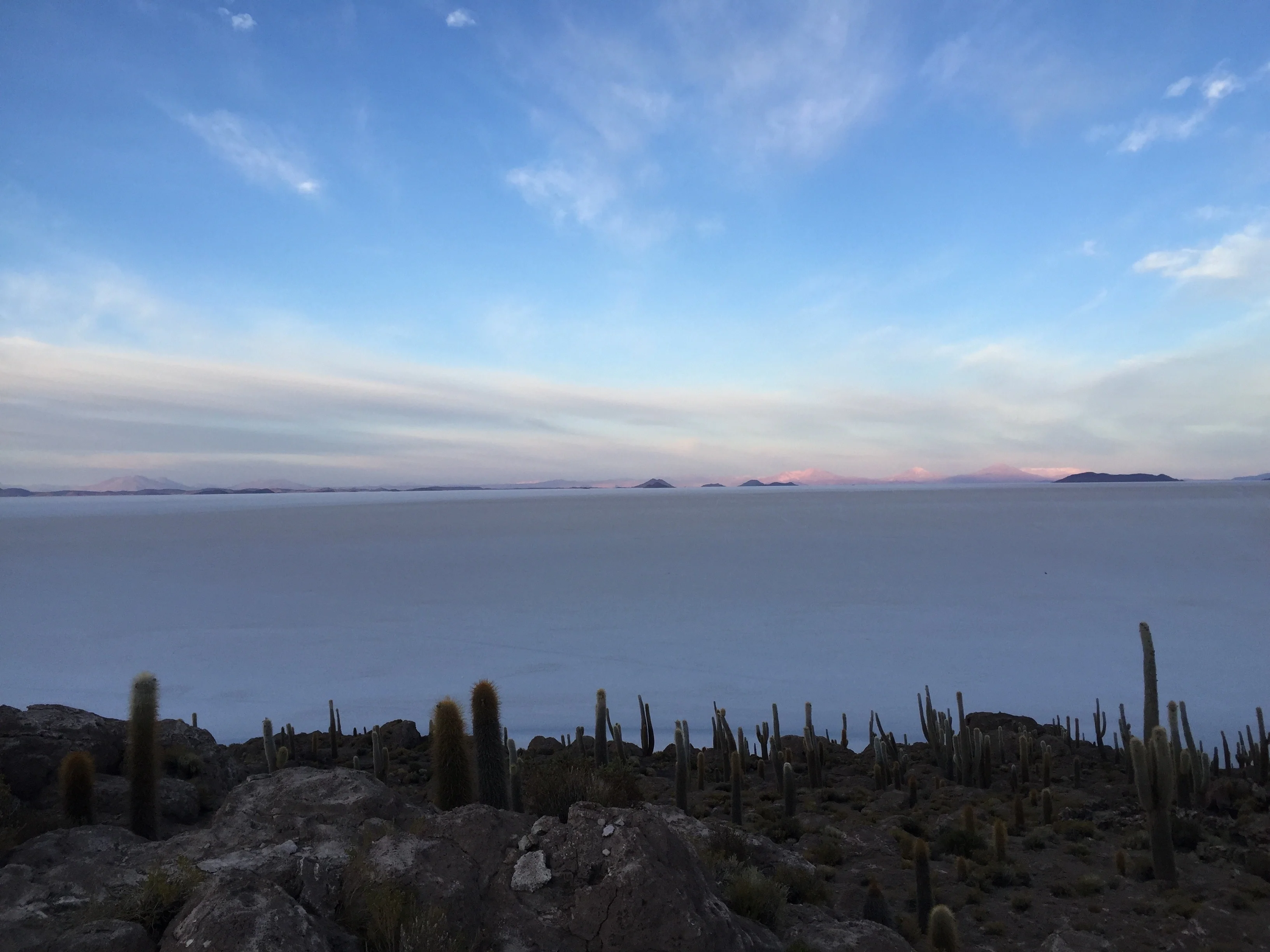 Cactus and salt flats in Uyuni