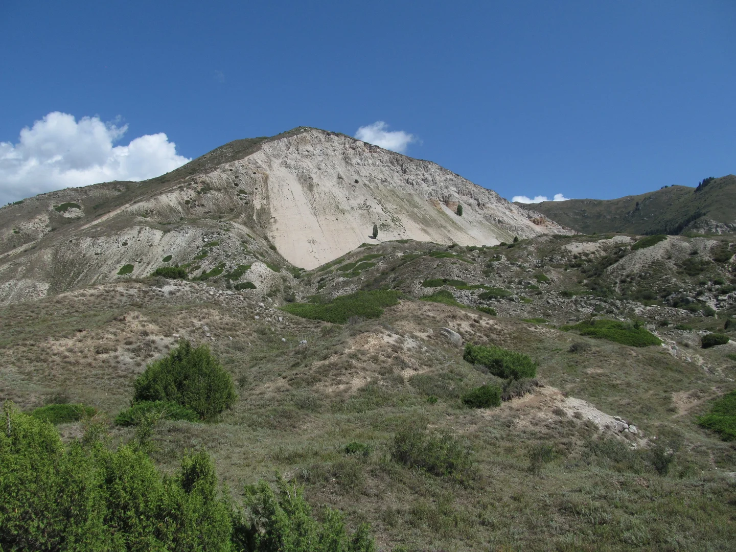 The 1911 seismically-induced Ananevo rockslide in Kyrgyzstan