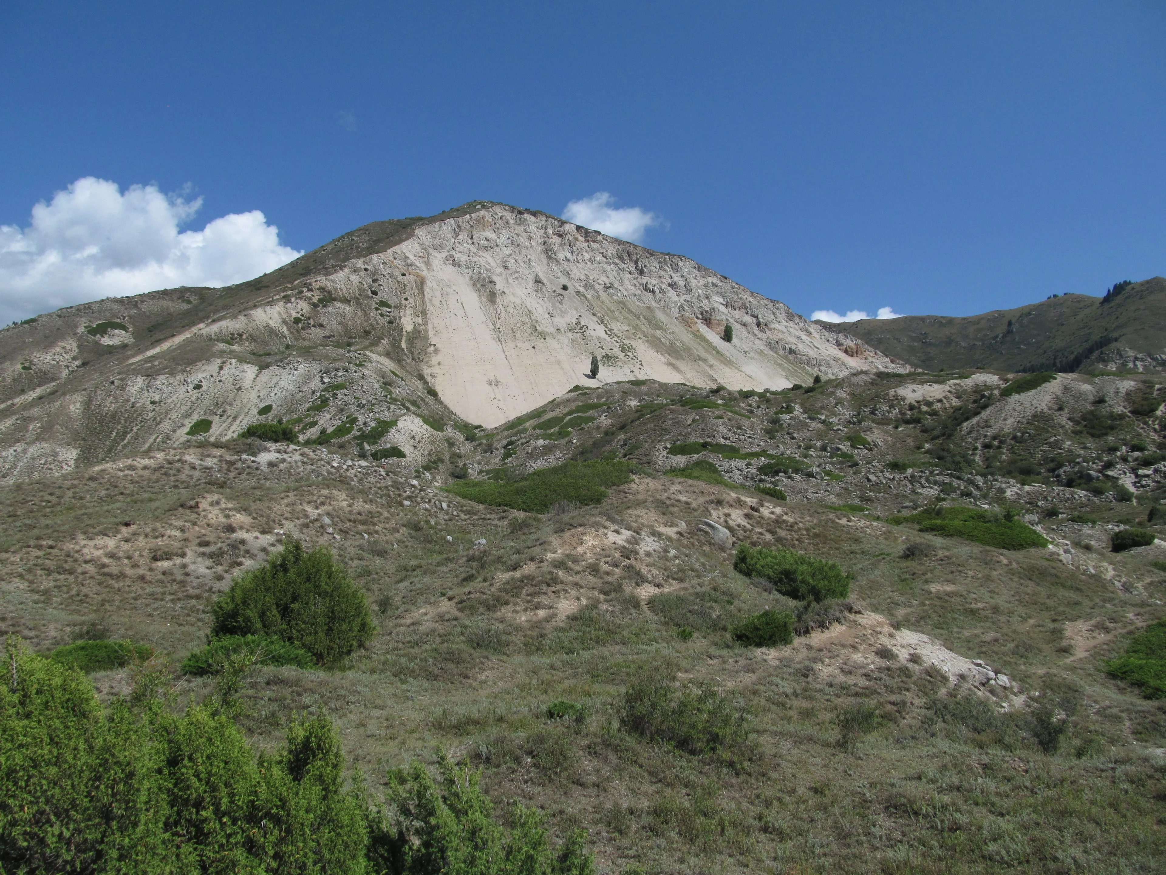 The 1911 seismically-induced Ananevo rockslide in Kyrgyzstan