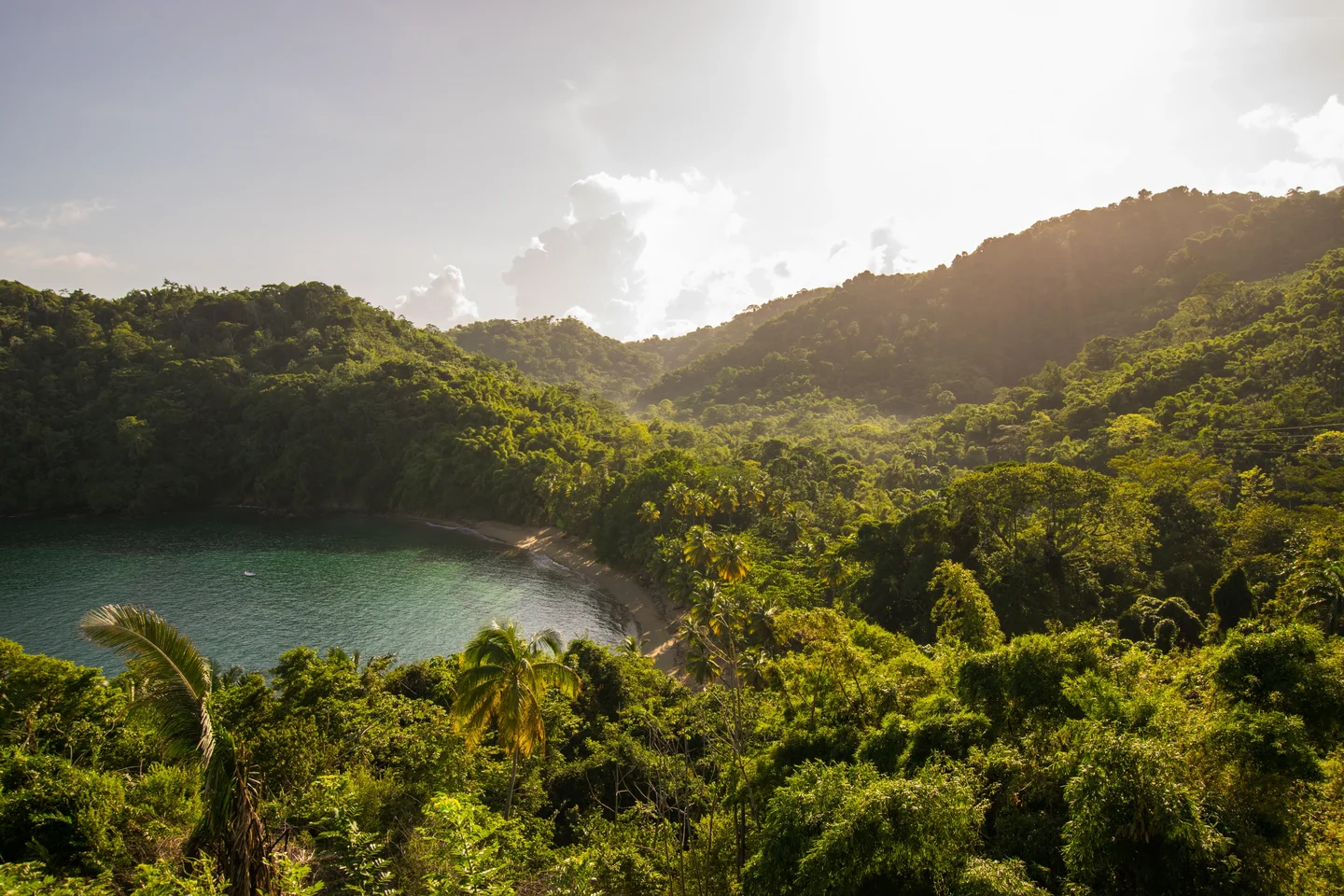 Secluded Caribbean beach